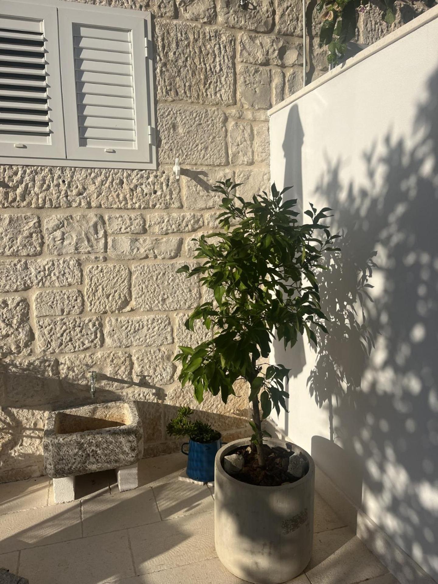 Apartment On The Sunny Side Korčula Екстериор снимка
